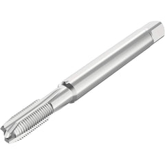 Seco - Spiral Point Taps Thread Size (Inch): 3/8-24 Number of Flutes: 3 - Caliber Tooling