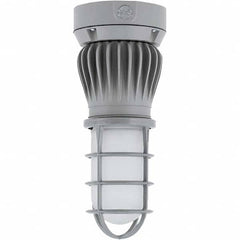 Hubbell Lighting - Hazardous Location Light Fixtures Resistance Features: Vaporproof Recommended Environment: Indoor; Outdoor - Caliber Tooling