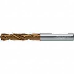 Walter-Titex - 11.6mm 140° Spiral Flute Solid Carbide Screw Machine Drill Bit - Caliber Tooling