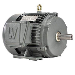 Worldwide Electric - Electric AC/DC Motors Motor Type: Premium Efficient Type of Enclosure: TEFC - Caliber Tooling