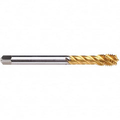 Spiral Flute Tap: M12 x 1.00, MF, Modified Bottoming, 6H Class of Fit, Powdered Metal, TIN-60 Finish Right Hand Flute, Right Hand Thread, D5, Series C3600F01