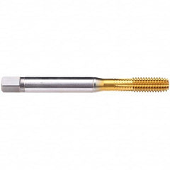 Emuge - 1/2-13 UNC 2B Modified Bottoming Thread Forming Tap - Caliber Tooling