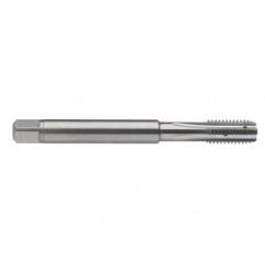 M6 x 1.0 Dia. - 6H - 4 FL - Carbide Semi-Bott Tap - Bright Finish-Coolant-Thru-FORM-C - Caliber Tooling