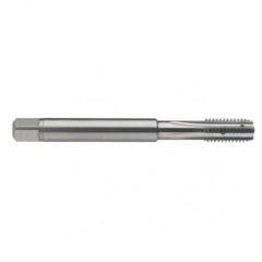 M6 x 1.0 Dia. - 6H - 4 FL - Carbide Semi-Bott Tap - Bright Finish-Coolant-Thru-FORM-C - Caliber Tooling