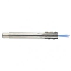 M12 x 1.75 Dia. - 6H - 4 FL - Carbide Semi-Bott Tap - Bright Finish-Coolant-Thru-FORM-C - Caliber Tooling