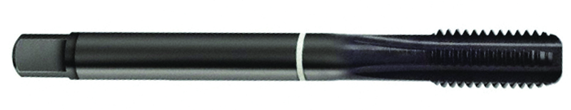 3/4-10 Dia. - 2B - 5 FL - Cobalt Semi-Bott White Ring Tap - Blk-Ox FORM-C DIN 376 - Caliber Tooling