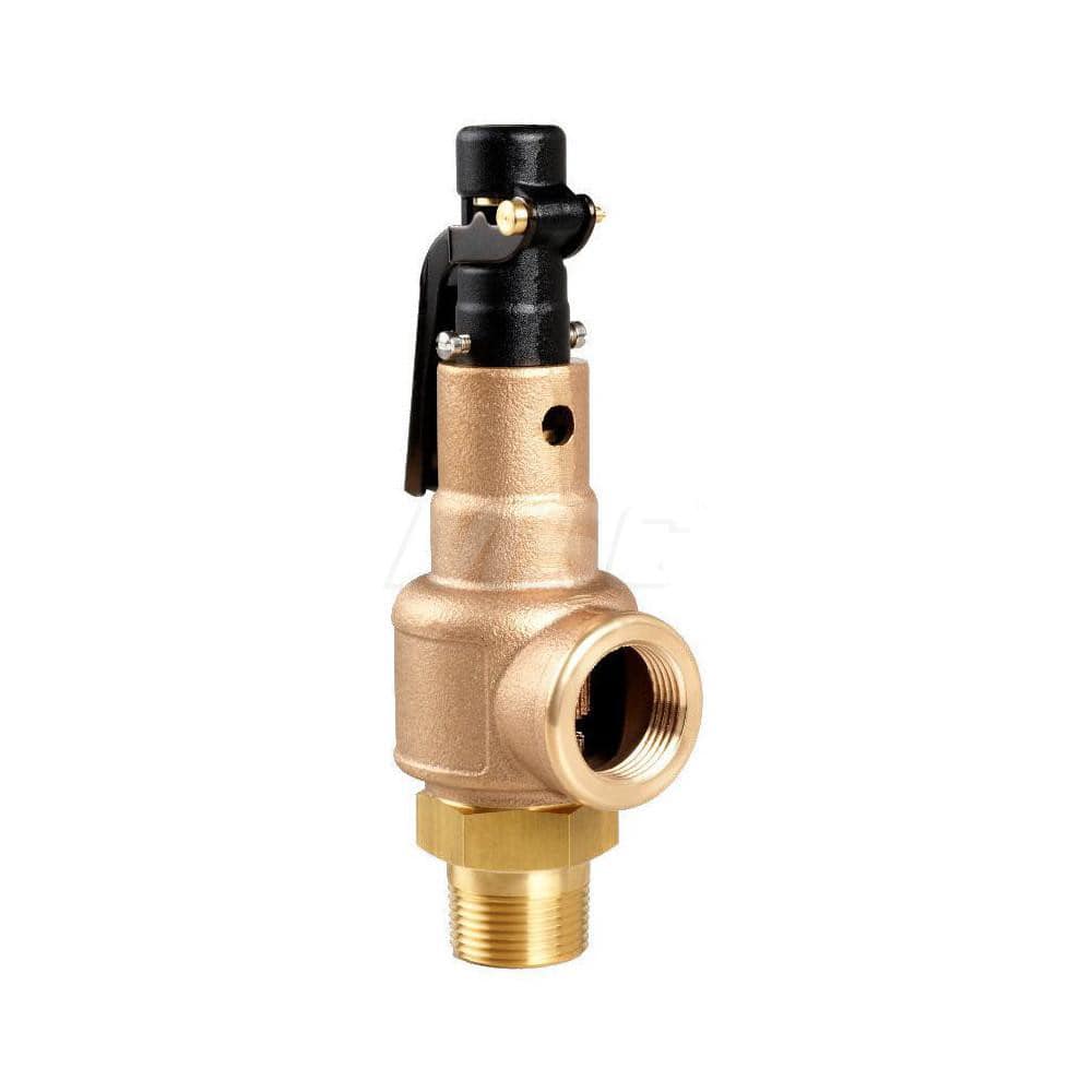 1 Mnpt X 1 Fnpt Brass/Bronze Series 570-Ee Asme Section Viii Safety Valve With (E) Orifice For Steam Service, Metal Seat & Open Lever Set 225 Psi