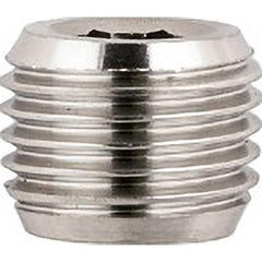 Aignep USA - Stainless Steel Pipe Fittings; Type: Male Plug ; Fitting Size: 1/2 ; End Connections: BSPT ; Material Grade: 316L Stainless Steel ; Pressure Rating (psi): 290 - Exact Industrial Supply