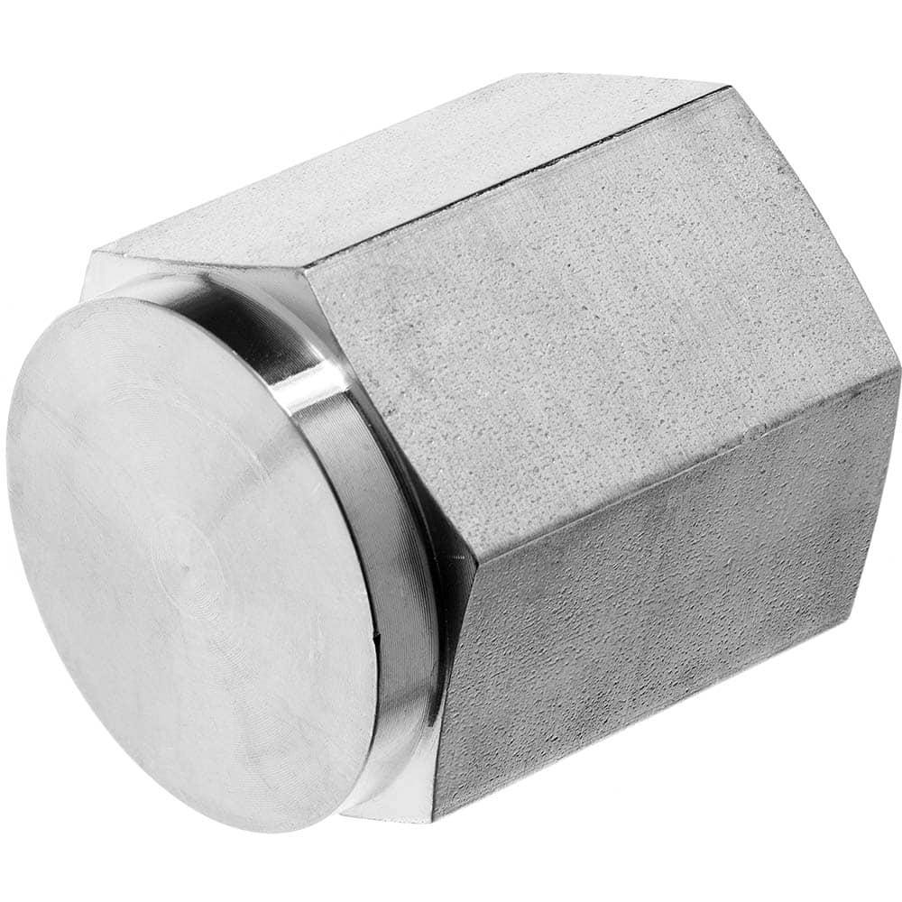 USA Sealing - Stainless Steel Pipe Fittings; Type: Cap ; Fitting Size: 1/4 x 1/4 ; End Connections: FNPT x FNPT ; Material Grade: 304 ; Pressure Rating (psi): 6200 - Exact Industrial Supply