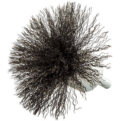 Norton - End Brushes Brush Diameter (Inch): 3 Fill Material: Carbon Steel - Caliber Tooling