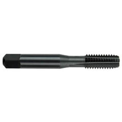 #10 NF, 32 TPI, 3 -Flute, Semi-Bottoming Straight Flute Tap Series/List #2094 - Caliber Tooling