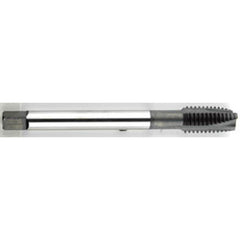 ‎3/8-24 Dia. - GH3 - 3 FL - Premium - HSS - Black Oxide - Plug - Spiral Point Tap Series/List #2088 - Caliber Tooling