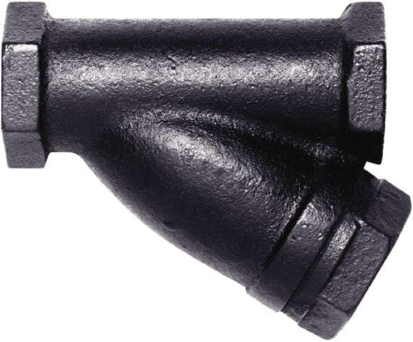 Hoffman Speciality - 1/2" Pipe, Female NPT Ends, Cast Iron Y-Strainer - 250 psi Pressure Rating, 400 psi WOG Rating, 250 psi WSP Rating - Caliber Tooling