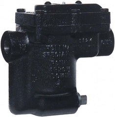 Hoffman Speciality - 2 Port, 1/2" Pipe, Stainless Steel Inverted Bucket Steam Trap - 125 Max psi - Caliber Tooling