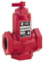 Bell & Gossett - 1-1/4" Pipe, Cast Iron Manually Operated Plumbing Valve - Buna Seal, FNPT - Caliber Tooling