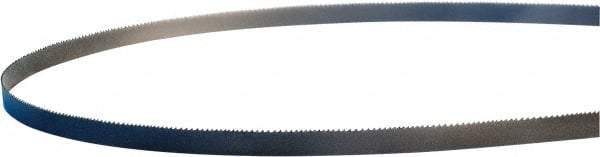 Lenox - 6 to 10 TPI, 11' Long x 1/2" Wide x 0.025" Thick, Welded Band Saw Blade - M42, Bi-Metal, Toothed Edge - Caliber Tooling