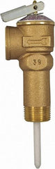 CASH ACME - 3/4" Inlet, 3/4" Outlet, FNPT x MNPT, ASME Safety Relief Valve - 150 Max psi, Bronze, 500000 BTUs - Caliber Tooling