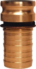 Dixon Valve & Coupling - 2" Brass Cam & Groove Suction & Discharge Hose Male Adapter Hose Shank - Part E, 250 Max psi - Caliber Tooling