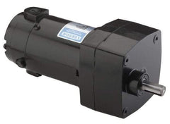 Leeson - 1/15 Max hp, 28 Max RPM, Electric AC DC Motor - 115 V Input, Single Phase, 31 Frame - Caliber Tooling