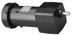 Leeson - 1/15 Max hp, 19 Max RPM, Electric AC DC Motor - 115 V Input, Single Phase, 31 Frame - Caliber Tooling