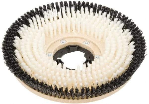 Clarke - 17" Diam Carpet Brush - 17" Machine, Black Pad, Nylon - Caliber Tooling