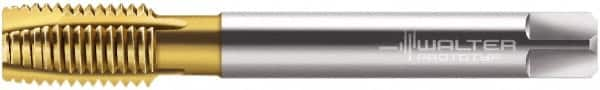 Walter-Prototyp - 3/8-19" BSPP, 4 Flutes, Plug Chamfer, TiN Coated, Cobalt British Standard Pipe Tap - 0.4724" Shank Diam, 0.3543" Square Size, Series P2436005 - Exact Industrial Supply