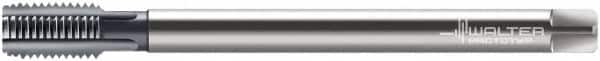 Walter-Prototyp - M20x2.50 Metric 4 Flute TiCN Finish Powdered Metal Hand Extension Tap - Modified Bottoming Chamfer, 11.0236" OAL, 6HX Class of Fit, Series E2036436 - Exact Industrial Supply