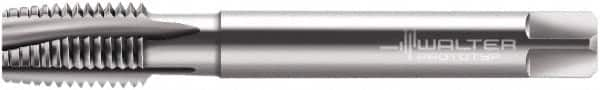 Walter-Prototyp - M20x2.50 Metric, 4 Flute, Bright Finish, Powdered Metal Spiral Point Tap - Plug Chamfer, Right Hand Thread, 4-15/32" OAL, 30mm Thread Length, 16.56mm Shank Diam, 6HX Class of Fit, Series A2026760 - Exact Industrial Supply