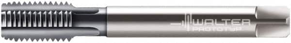 Walter-Prototyp - M12x1.75 Metric 6HX 4 Flute TiCN Finish Powdered Metal Straight Flute Machine Tap - Bottoming, Right Hand Thread, 110mm OAL, 23mm Thread Length, Oversize - Exact Industrial Supply