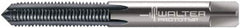 Walter-Prototyp - M7x1.00 Metric 6H 3 Flute TiCN Finish Solid Carbide Straight Flute Machine Tap - Modified Bottoming, Right Hand Thread, 80mm OAL, 19mm Thread Length, Oversize, Through Coolant - Exact Industrial Supply