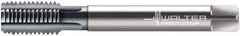 Walter-Prototyp - 1/4-19" BSPP, 4 Flutes, Modified Bottoming Chamfer, TiCN Coated, Powdered Metal British Standard Pipe Tap - 0.4331" Shank Diam, 0.3543" Square Size, Series E2436406 - Exact Industrial Supply