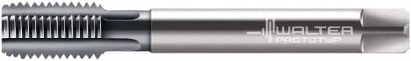 Walter-Prototyp - 3/4-14" BSPP, 6 Flutes, Modified Bottoming Chamfer, TiCN Coated, Powdered Metal British Standard Pipe Tap - 0.7874" Shank Diam, 0.6299" Square Size, Series E2436406 - Exact Industrial Supply