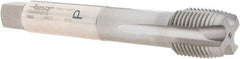 Walter-Prototyp - 1/2-14" BSPP, 4 Flutes, Plug Chamfer, Bright Finish, Cobalt British Standard Pipe Tap - 0.6299" Shank Diam, 0.4724" Square Size, Series P24360 - Exact Industrial Supply