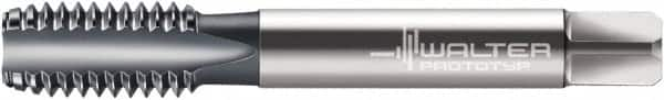 Walter-Prototyp - 9/16-18 UNC 2B 4 Flute TiCN Finish Cobalt Straight Flute Machine Tap - Modified Bottoming, Right Hand Thread, 3-19/32" OAL, 26.01mm Thread Length, Oversize - Exact Industrial Supply