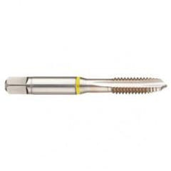 41836 2B 3-Flute Cobalt Yellow Ring Spiral Point Plug Tap-Bright - Caliber Tooling