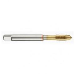 41168 2B -Flute Cobalt Red Ring Spiral Point Plug Tap-TiN - Caliber Tooling