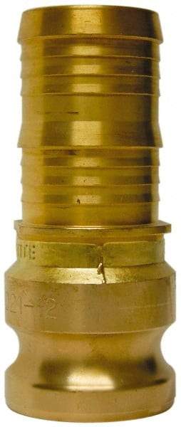 EVER-TITE Coupling Products - 2-1/2" Brass Cam & Groove Suction & Discharge Hose Male Adapter Hose Shank - Part E, 250 Max psi - Caliber Tooling