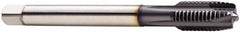 Seco - M16x2.00 Metric, 4 Flute, TiCN Finish, Cobalt Spiral Point Tap - Plug Chamfer, Right Hand Thread, 110mm OAL, 25mm Thread Length, 12mm Shank Diam, 6H Class of Fit - Exact Industrial Supply