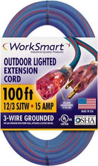 Value Collection - 100', 12/3 Gauge/Conductors, Blue/Red Outdoor Extension Cord - 1 Receptacle, 15 Amps, UL SJTW, NEMA 5-15P - Caliber Tooling