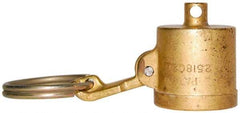 EVER-TITE Coupling Products - 3" Brass Cam & Groove Suction & Discharge Hose Dust Cap For Use with Adapters - Part DC, 250 Max psi - Caliber Tooling