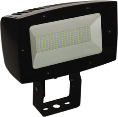 Philips - Floodlight Fixtures Mounting Type: Trunion Mount Housing Color: Bronze - Caliber Tooling