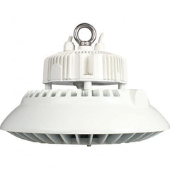 Eiko Global - 1 Lamp, 100 Watts, LED, High Bay Fixture - 11.81" Wide, 120-277 Volt, Steel Housing - Caliber Tooling