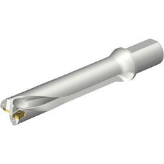 Sandvik Coromant - Indexable Insert Drills; Drill Style: DS20 ; Drill Diameter (mm): 49.00 ; Maximum Drill Depth (mm): 246.28 ; Shank Type: Straight ; Shank Diameter (mm): 50.0000 ; Cutting Direction: Right Hand - Exact Industrial Supply