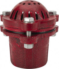 Value Collection - 2" Hose, Foot Valve - Cast Iron - Caliber Tooling