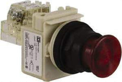 Schneider Electric - 30mm Mount Hole, Extended Straight, Pushbutton Switch with Contact Block - Red Pushbutton, Momentary (MO) - Caliber Tooling