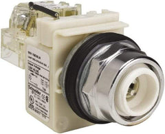 Schneider Electric - 120 VAC LED Indicating Light - Screw Clamp Connector - Caliber Tooling