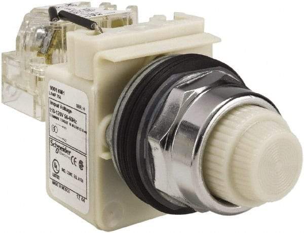 Schneider Electric - 120 VAC White Lens Indicating Light - Screw Clamp Connector - Caliber Tooling