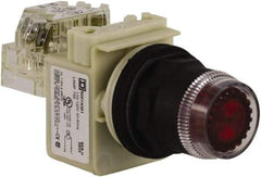 Schneider Electric - 30mm Mount Hole, Extended Straight, Pushbutton Switch with Contact Block - Red Pushbutton, Momentary (MO) - Caliber Tooling