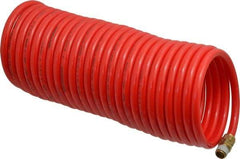 PRO-SOURCE - 1/4" ID, 1/4 Thread, 25' Long, Red Nylon Coiled & Self Storing Hose - 350 Max psi, Male Swivel x Male Swivel - Caliber Tooling