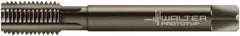 Walter-Prototyp - 3/8-19" BSPP, 5 Flutes, Modified Bottoming Chamfer, Nitride/Oxide Coated, Powdered Metal British Standard Pipe Tap - 0.4724" Shank Diam, 0.3543" Square Size, Series E24364 - Exact Industrial Supply